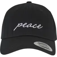 Mister tee Peace Dad Kappe