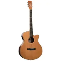 Tanglewood TW4 Winterleaf Super Folk Elektroakustisch Natur