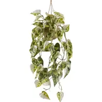Creativ Green Kunstpflanze "Syngonium" mit Hängetopf