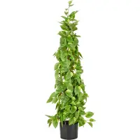 Creativ Green Kunstpflanze "Epipremnum" in Pyramidenform