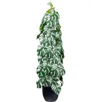 Creativ Green Künstliche Zimmerpflanze "Splitphilodendron" mit säulenartigem Aufbau