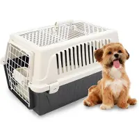 Markenlos Transportbox für Katzen und kleine Hunde bis 8 kg, mit offenem Dach und Kissen