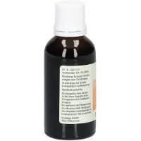 Kattwiga Synergon Komplex 127 Cactus T Tropfen 50 ml