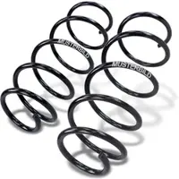 BESTPRICE 1x Fahrwerksfeder Hinterachse [Hersteller-Nr. 31475507] für Opel, Vauxhall