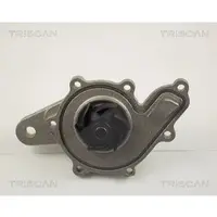 TRISCAN Wasserpumpe [Hersteller-Nr. 860010014] für Smart