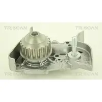 TRISCAN Wasserpumpe 8600 25009