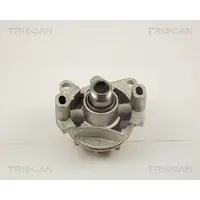 TRISCAN Wasserpumpe [Hersteller-Nr. 860010017] für Renault, Nissan, Vauxhall, Opel