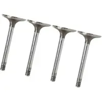 BESTPRICE 4x Einlaßventil [Hersteller-Nr. 30414866] für Seat, VW, Audi