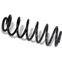 BESTPRICE 2x Fahrwerksfeder hinten [Hersteller-Nr. 40643457] für Skoda, VW