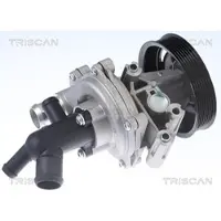 TRISCAN Wasserpumpe 8600 16071