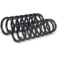 BESTPRICE 2x Fahrwerksfeder hinten [Hersteller-Nr. 41706841] für Hyundai, Kia