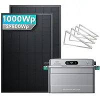 SolarMars SolarFlow 800 Plus+ 2x500W Bifaziale - 1000Wp ‚Äì 2 Module / Flachdach/Garten/Wand