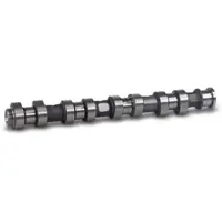 BESTPRICE Nockenwelle Einlassseite [Hersteller-Nr. 41536596] für Vauxhall, Opel