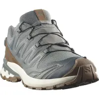 Salomon Herren Running-Trail-Sch. He/Uni SHOES XA PRO 3D V9 GTX LIFELONG M Sedsa