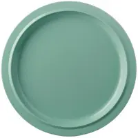 Mepal campinggeschirr - Essteller Basic P250 - Retro green - Campingteller - Melamin