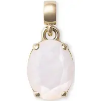 Daniel Wellington Charmanter vergoldeter Anhä nger mit Perlmutt DW00401461