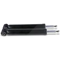 BESTPRICE 2x Stoßdämpfer hinten [Hersteller-Nr. 40842486] für BMW