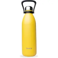 Qwetch Isotherme Flasche Titan