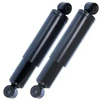 BESTPRICE 2x Stoßdämpfer hinten Öldruck beidseitig [Hersteller-Nr. 10692242] für Fiat, Peugeot, Citroën