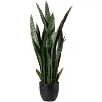 Möbel Kraft Sansevieria getopft ¦ grün ¦ Kunststoff ¦ Maße (cm): H: 39