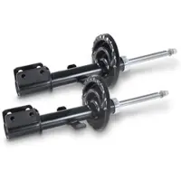 BESTPRICE 2x Stoßdämpfer vorne [Hersteller-Nr. 40668955] für Renault