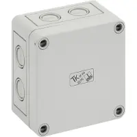 Spelsberg 10540301 Leergehäuse, Schutzart IP66, Schlagfestigkeit IK07, Schutzklasse II, Ui 690V AC, Bemessungsisolationsspannung 1000V DC