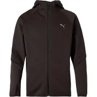 Puma Evostripe Warm Fz Hoodie 68823701 Herren