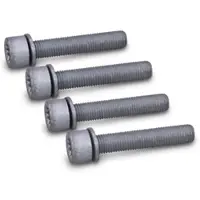 BESTPRICE 4x Schraube Bremssattel [Hersteller-Nr. 40788662] für VW, Seat, Skoda, Audi