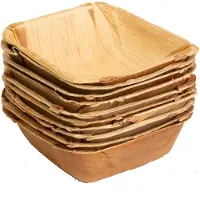 KOKA 10x viereckige Schale aus Palmblatt Größe 14 cm x 14 cm