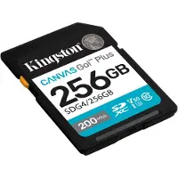 Kingston SDG4/256GB