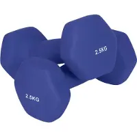 Songmics Hanteln 2er Set SYLB3565BU