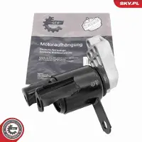 ESEN SKV Motorlager Hydrolager Rechts für FORD Fiesta Mk6 Schrägheck (JA8, JR8) 75SKV012