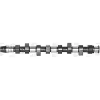 AE CAM441 Nockenwelle für VW GOLF III (1H1) für AUDI A4 Limousine (8D2, B5) A4 Avant (8D5, B5) A6 Avant (4B5, C5) 80 Limousine (8C2, B4)