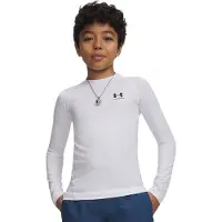 Under Armour Heatgear Armour Langarm-t-shirt