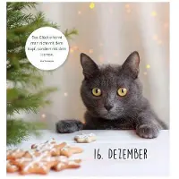 St. Benno Auf Samtpfoten durch den Advent