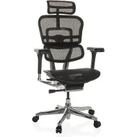 Hjh OFFICE Luxus Chefsessel ERGOHUMAN GEN2 Ergonomischer Bürostuhl mit Armlehnen (höhenverstellbar) Netzstoff Drehstuhl für Büro, Zuhause