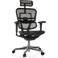 Hjh OFFICE Luxus Chefsessel ERGOHUMAN ULTRA GEN2 Ergonomischer Bürostuhl mit Armlehnen (höhenverstellbar) Netzstoff Drehstuhl für Büro, Zuhause