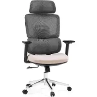 Hjh OFFICE Profi Bürostuhl Ergomy Pro Ergonomischer Schreibtischstuhl mit Armlehnen (höhenverstellbar) Stoff / Netzstoff Dunkelgrau/Beige Drehstuhl für Büro, Zuhause