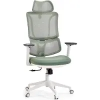 MyBuero Profi Bürostuhl ERGOMY W Ergonomischer Schreibtischstuhl mit Armlehnen (höhenverstellbar) Stoff / Netzstoff Grün Drehstuhl für Büro, Zuhause