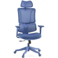 MyBuero Ergomy Colore