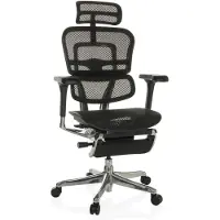 Hjh OFFICE Luxus Chefsessel ERGOHUMAN PLUS LEGPRO GEN2 Ergonomischer Bürostuhl mit Armlehnen (höhenverstellbar) Netzstoff Drehstuhl für Büro, Zuhause