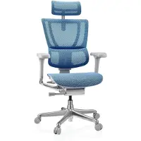 Hjh OFFICE Luxus Chefsessel ERGOHUMAN SLIM G GEN2 Ergonomischer Bürostuhl mit Armlehnen (höhenverstellbar) Netzstoff Drehstuhl für Büro, Zuhause