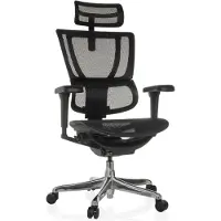 Hjh OFFICE Luxus Chefsessel ERGOHUMAN SLIM ULTRA GEN2 Ergonomischer Bürostuhl mit Armlehnen (höhenverstellbar) Netzstoff Drehstuhl für Büro, Zuhause