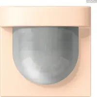 JUNG Automatikschalter