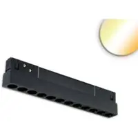 ISOLED Track48 Rasterleuchte 22cm schwarz 12W 36° UGR<19 48V DC 750lm 1800-4000K CRI90 DALI DT8 EEK G [A-G] Fiai 117233