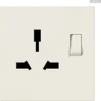 JUNG Steckdose 1f cws glz LS UP m.BS ZP BS LS4171GISW