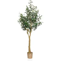 Hjh OFFICE Olive Ii