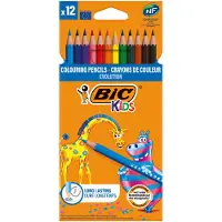 BIC Evolution