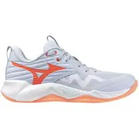 Mizuno Wave Momentum Pro Indoor-sportschuhe Für Damen Blau EU 40 Frau Blau EU 40