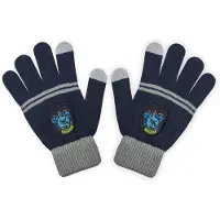 Cinereplicas Harry Potter – Ravenclaw-Handschuhe und -Mütze für Kinder